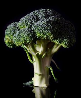 semi cavolo broccolo