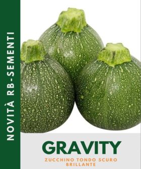 Zucchino Gravity F1