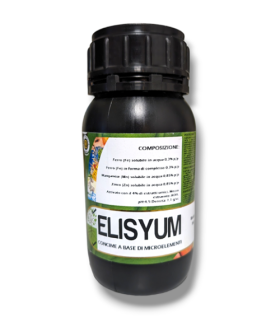 sostanza base elisyum arvensis 
