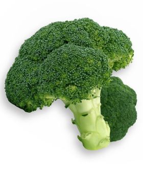 cavolo broccolo verde scuro marathon sakata