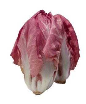 cicoria sementi mantovana rosa mantorosa