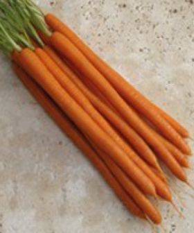 seme da orto carota propeel lunga