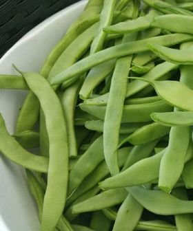 semi orto fagiolino nano verde piatto Bina