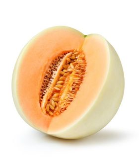 seme melone ardito ortaggi ibridi